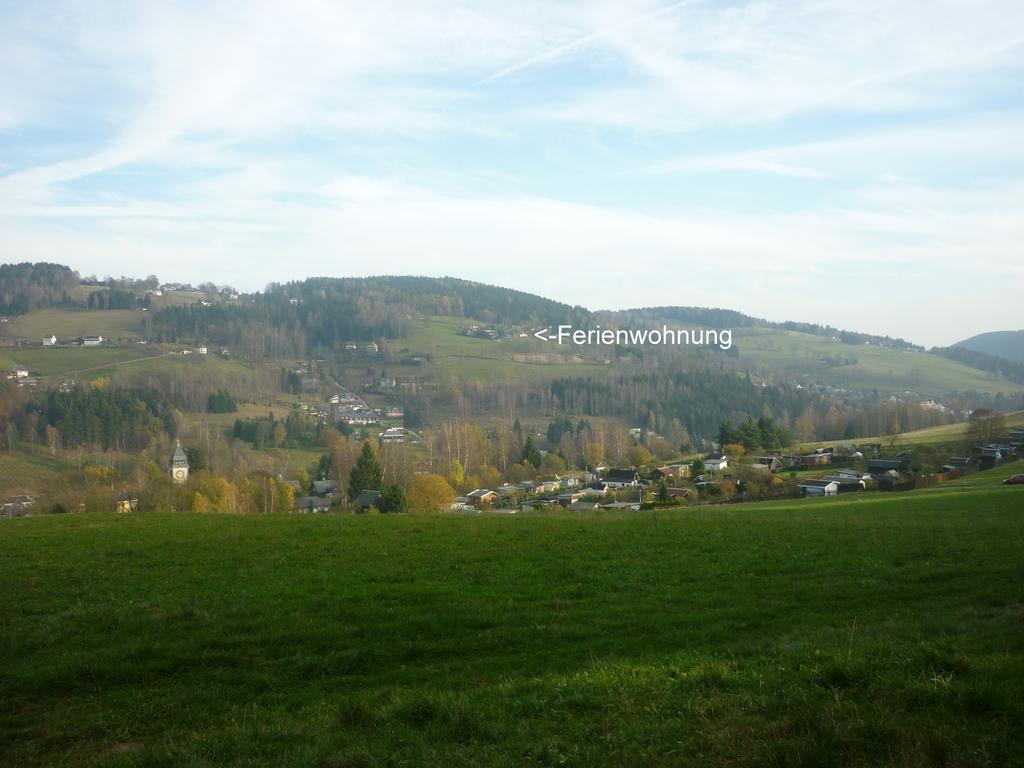 Ferienwohnung Laempelberg Klingenthal Chambre photo